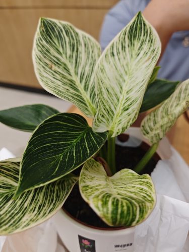 2025-03-09T19_32_33 07_00